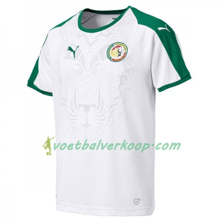 Senegal Thuisshirt WK voetbal 2018